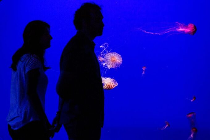 Seville Aquarium Admission Ticket - Cancellation and Refund Policy