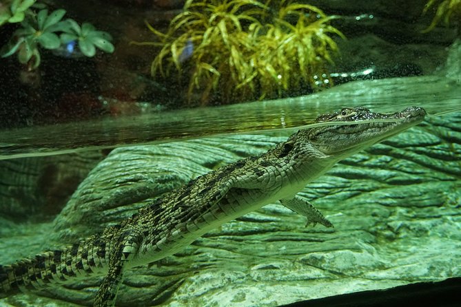 Seville Aquarium Admission Ticket - Booking and Cancellation Policy