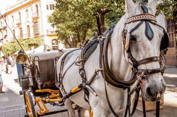 Seville: Authentic and Romantic Horse-Drawn Carriage Ride - Frequently Asked Questions