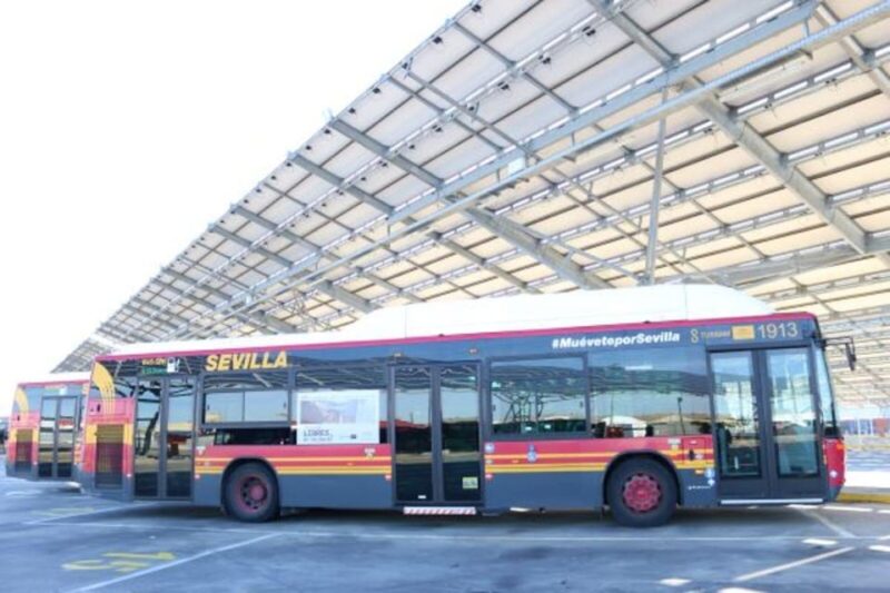 Seville: Bus Transfer Ticket Between Airport and City Center - Service Details and Frequency