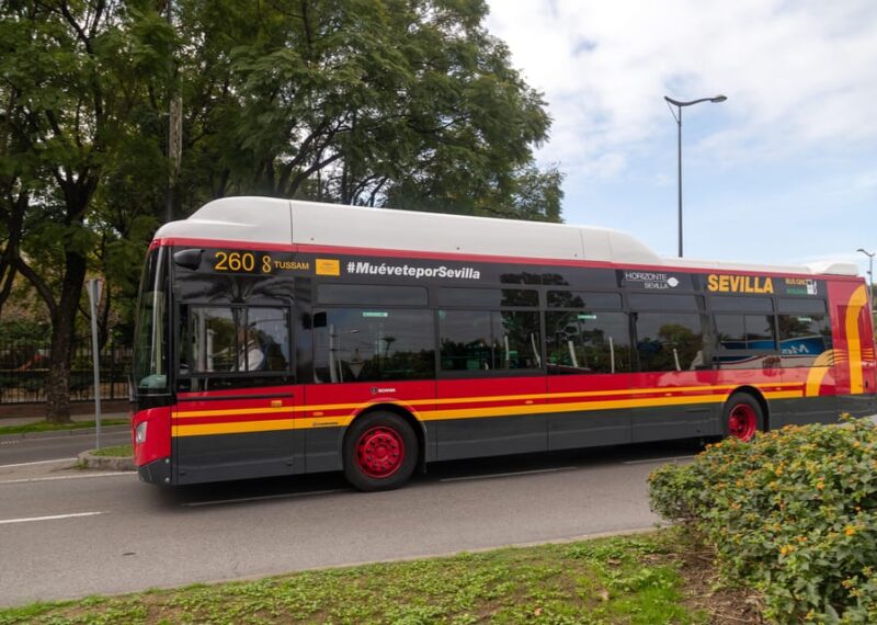 Seville: Bus Transfer Ticket Between Airport and City Center - Accessibility and Assistance