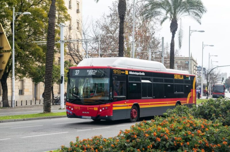 Seville: Bus Transfer Ticket Between Airport and City Center - Customer Ratings and Feedback