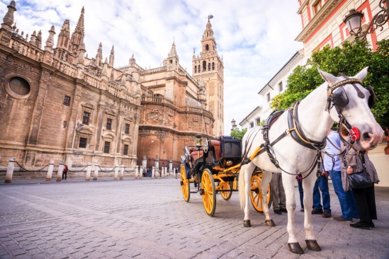 Seville: Cathedral and Alcázar Guided Tour - Key Sites and Activities