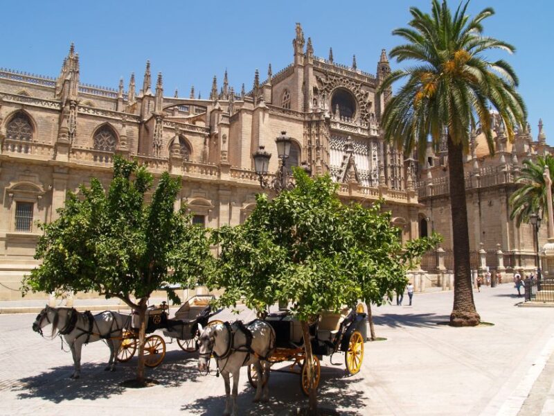 Seville: Cathedral, Giralda, and Alcazar Guided Tour - Inclusions of the Tour