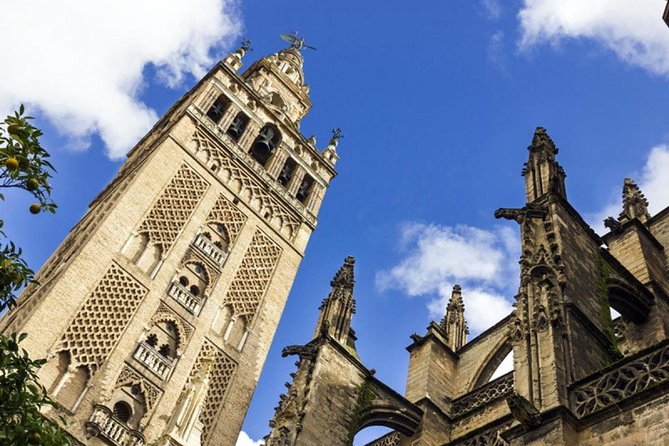 Seville Cathedral, Giralda and Real Maestranza Bullring - Negative Experiences Highlighted