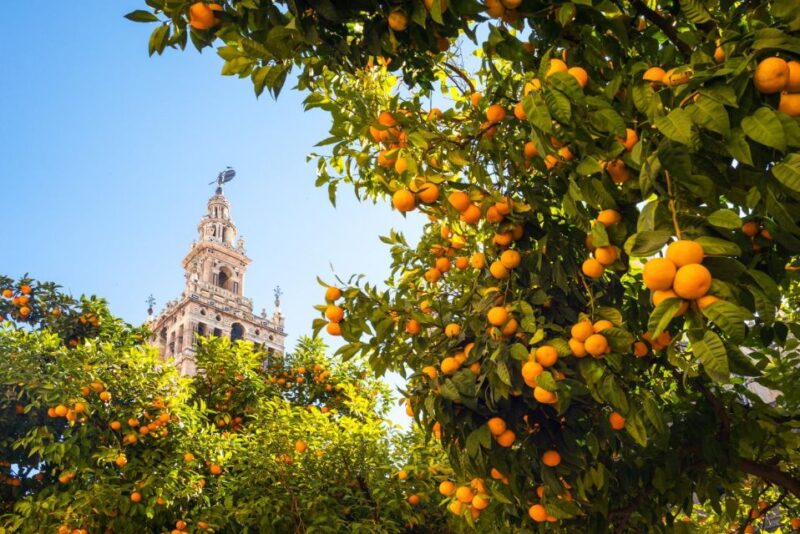 Seville Centre in 1 Day: Walking Tour With Digital Guide - Necessary Tour Supplies and Preparation