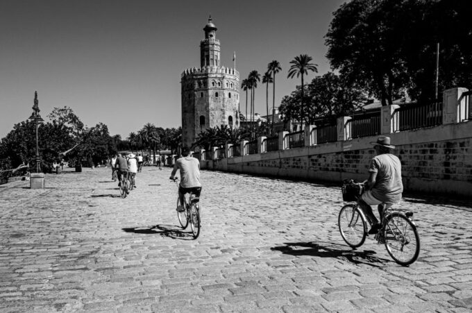 Seville: City Sightseeing and Local Culture Bike Tour - Recommendations for Restaurants and Nightlife