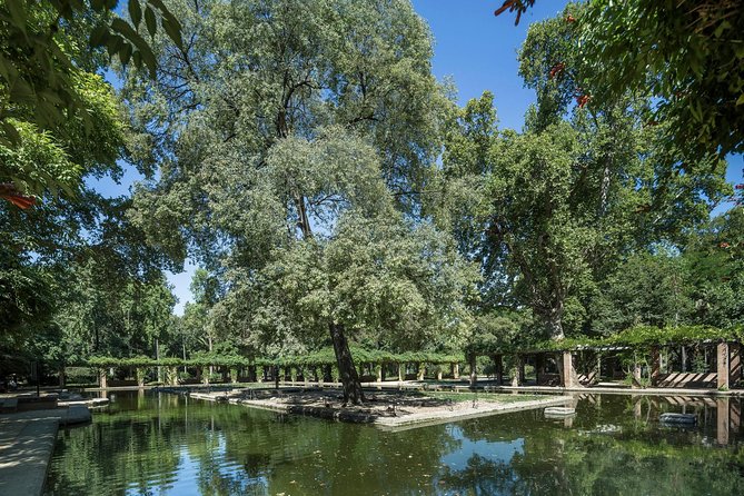 Seville Day Trip With Cathedral Entrance Direct From Malaga - Panoramic Sightseeing Tour