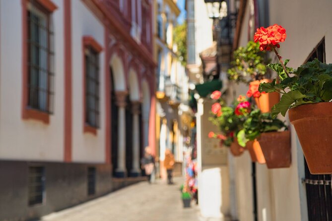 Seville Day Trip With Cathedral Entrance Direct From Malaga - Tour Duration and Meeting Point