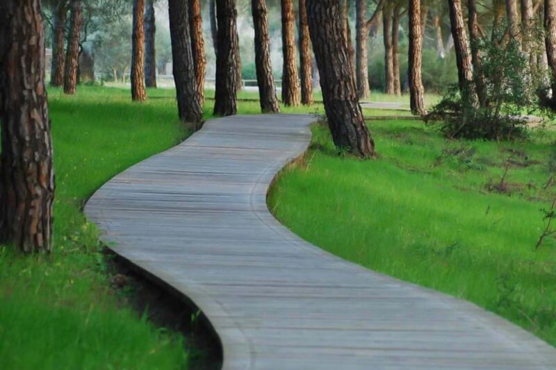 Seville: Doñana National Park Full-Day Tour - Inclusions