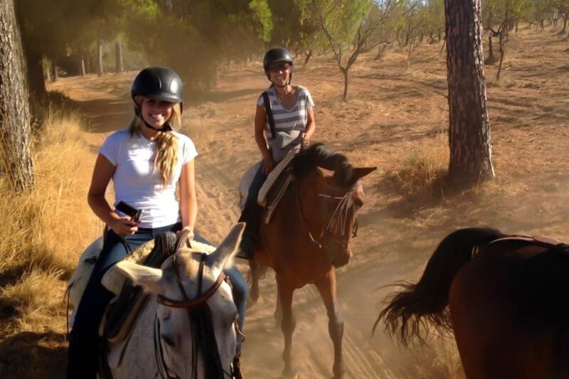 Seville: Doñana National Park Full-Day Tour - Pickup and Drop-off