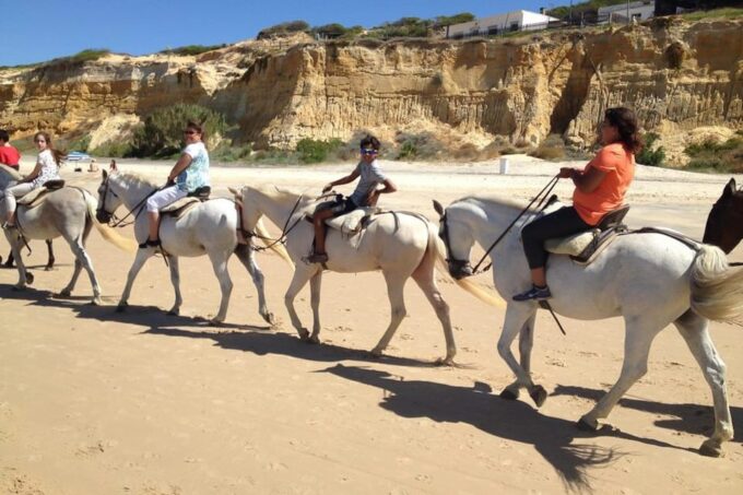 Seville: Doñana National Park Full-Day Tour - Frequently Asked Questions