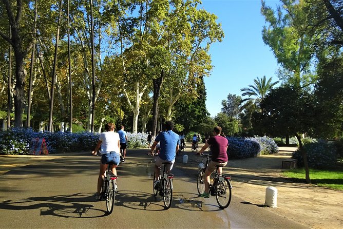 Seville Electric Bike Small Group Tour - Itinerary Changes