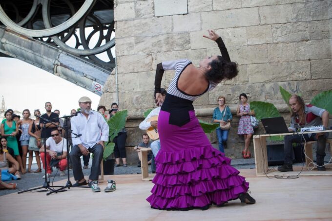 Seville: Enjoy a Flamenco Introductory Class - Flamenco Instructor