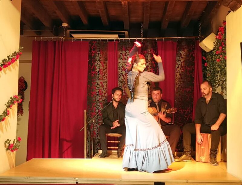 Seville: Flamenco Show at Andalusian Flamenco Tablao - Show Highlights