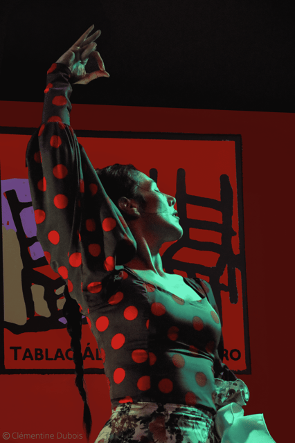 Seville: Flamenco Show at Tablao Álvarez Quintero - Experience Highlights