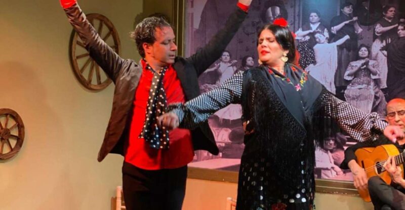 Seville: Flamenco Show at Tablao La Cantaora - Key Points
