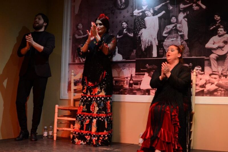 Seville: Flamenco Show at Tablao La Cantaora - Venue and Atmosphere