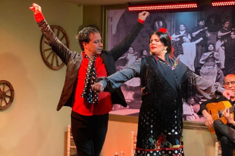 Seville: Flamenco Show at Tablao La Cantaora - Performance Details