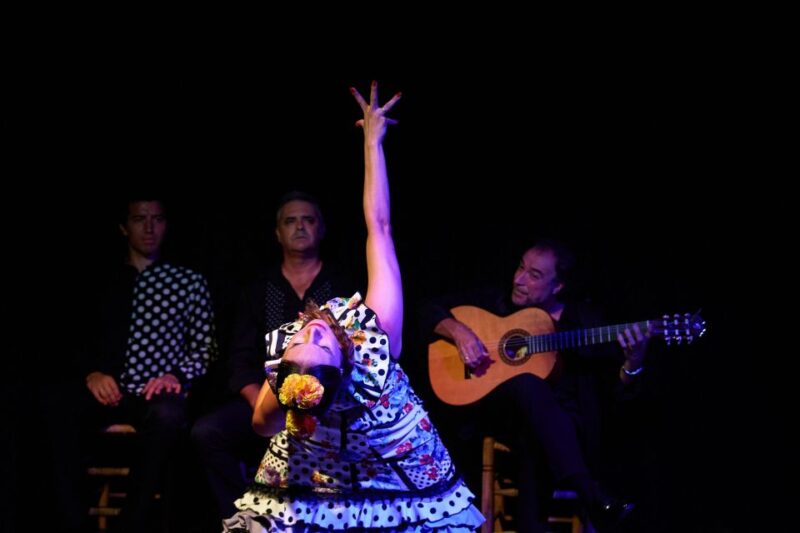 Seville: Flamenco Show in Triana - Accessibility and Languages