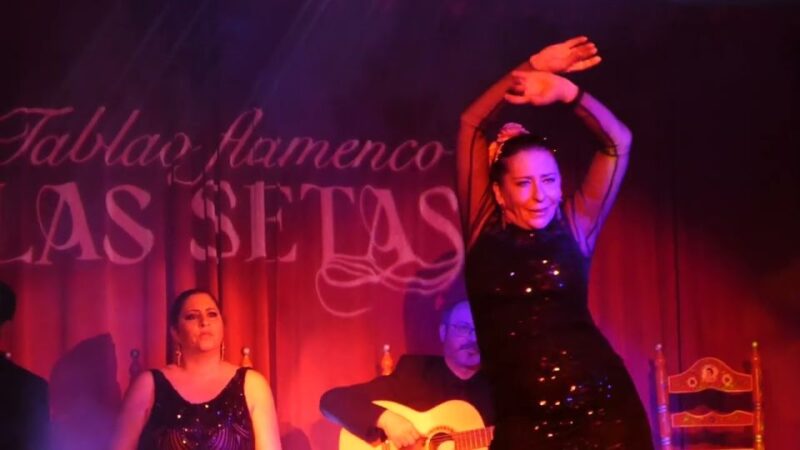 Seville: Flamenco Show & Roof Dinner With Cathedral Views - Cocktail Accompaniment