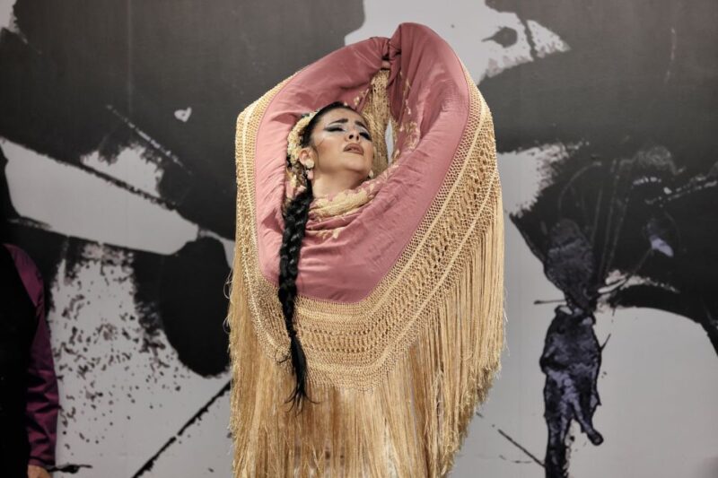 Seville: Flamenco Show Ticket at the Foot of the Giralda - Show Description and Offerings