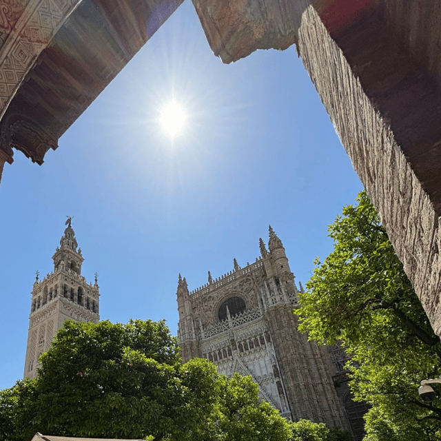 Seville From the Costa Del Sol - Pickup and Drop-off Locations