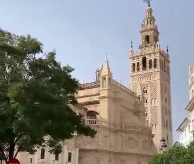 Seville From the Costa Del Sol - Multilingual Guide and Official Tour