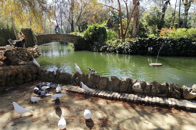 Seville Full Day Tour - Exploring the Old Town