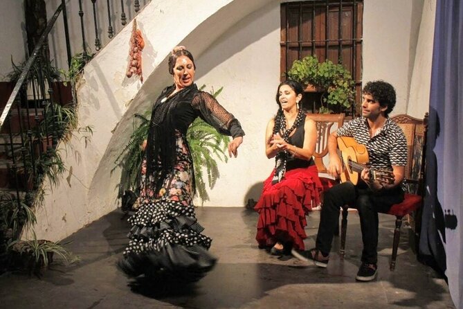 Seville: Fun Class to Approach Flamenco - Pricing and Cancellation Policy