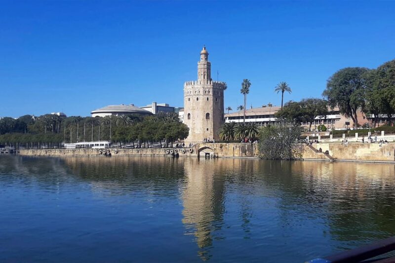 Seville: Guadalquivir Boat Tour With Optional Lunch/Dinner - Cruise Options and Inclusions