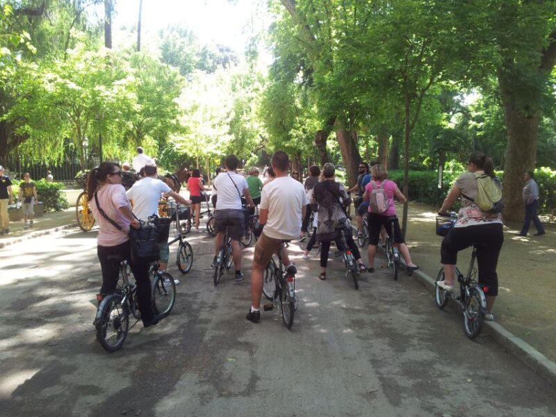 Seville: Guided City Sightseeing E-bike Tour - Key Points