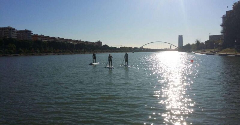 Seville: Guided Paddle Surf Tour - Activity Description