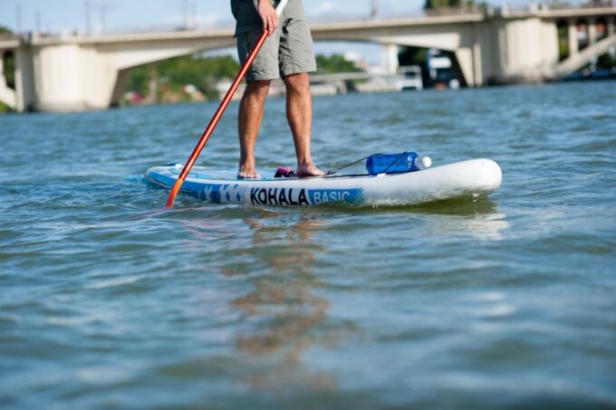 Seville: Guided Paddle Surf Tour - Included and Excluded