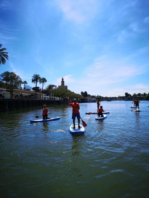 Seville: Guided Paddle Surf Tour - Participant Requirements