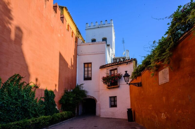 Seville Guided Tour Seville Must See - Experience and Accessibility