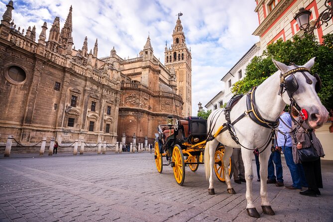 Seville: Guided Tour to Cathedral and Giralda - Navigating the Tour Experience
