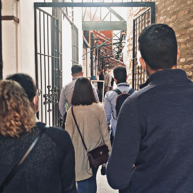 Seville: Guided Walking Tour of the Santa Cruz District - Exploring Narrow Streets