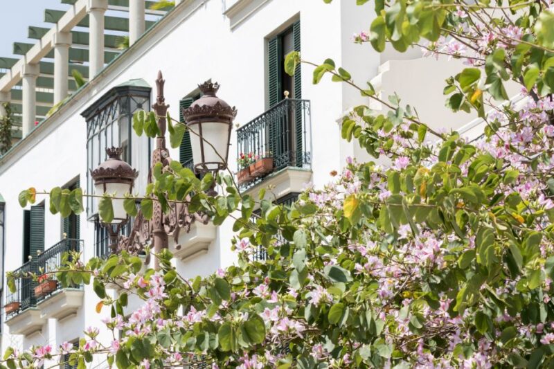 Seville: Guided Walking Tour of the Santa Cruz District - Andalusian Courtyards