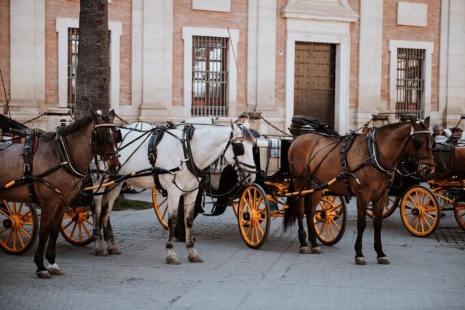 Seville: Guided Walking Tour of the Santa Cruz District - Jewish Quarters History