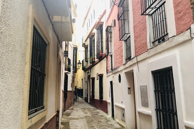 Seville Highlights Private Walking Tour - Inclusions and Exclusions