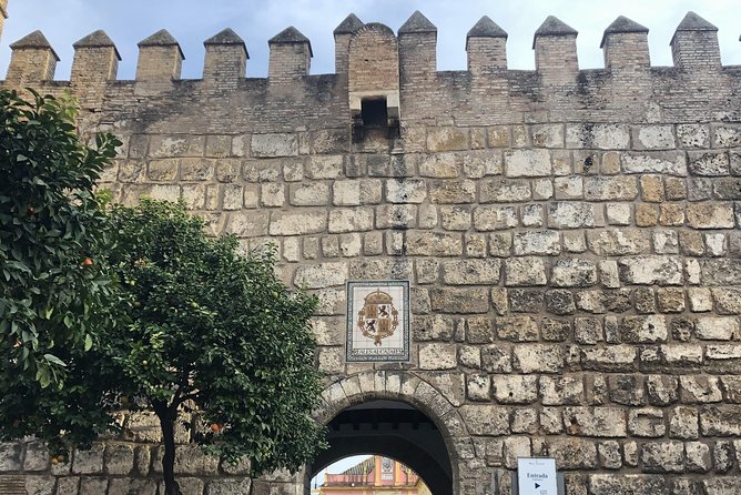 Seville Highlights Private Walking Tour - Accessibility and Policies