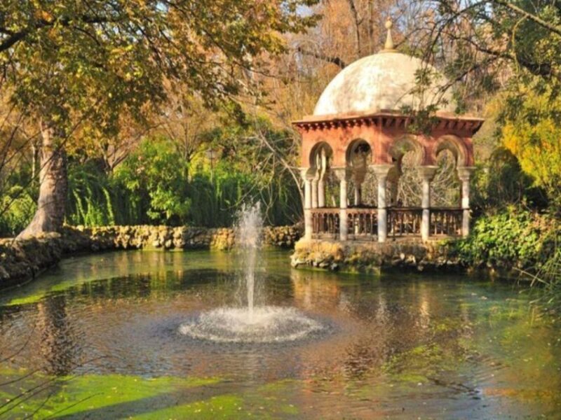 Seville: Horse Carriage Tour With Fine Dine Meal - Horse Carriage Ride Highlights