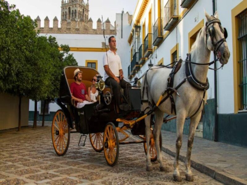 Seville: Horse Carriage Tour With Fine Dine Meal - Pickup and Accessibility Information
