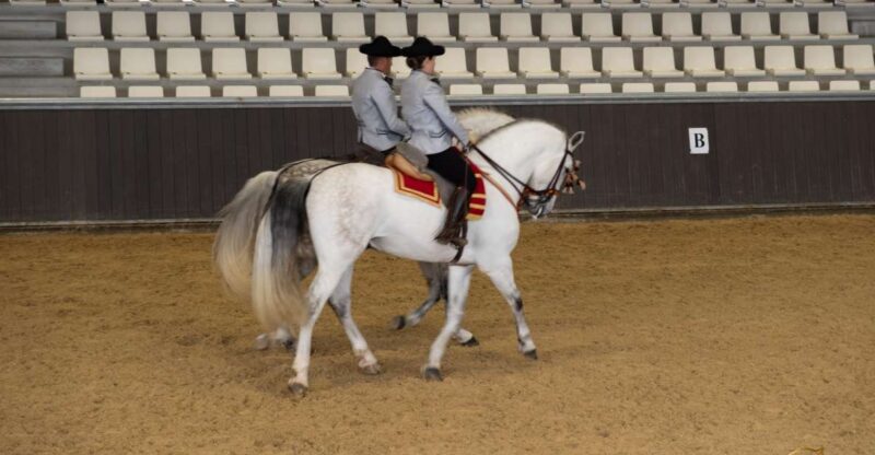 Seville: Horse Show Entry Ticket. Optional Stud Farm Visit - Key Points