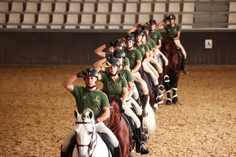 Seville: Horse Show Entry Ticket. Optional Stud Farm Visit - Language and Guide