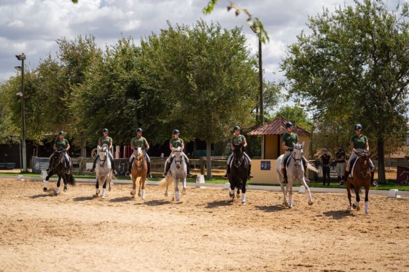 Seville: Horse Show Entry Ticket. Optional Stud Farm Visit - Customer Feedback