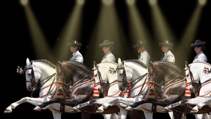 Seville: Horse Show Entry Ticket. Optional Stud Farm Visit - Booking and Payment