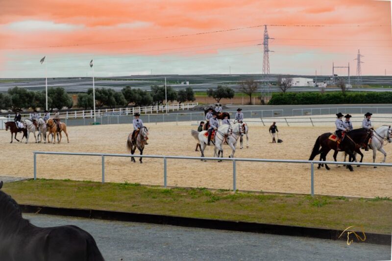 Seville: Horses Show Entry Ticket. Optional Stud Farm Visit - Booking and Cancellation