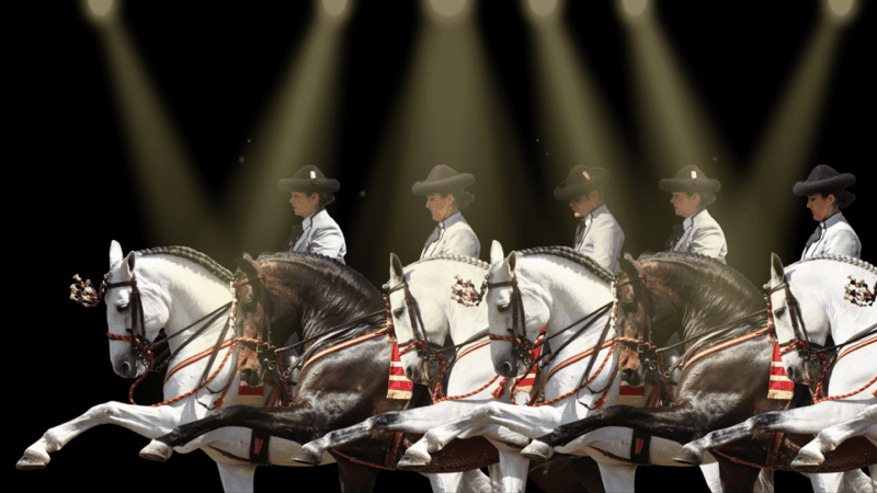 Seville: Horses Show Entry Ticket. Optional Stud Farm Visit - Experience Highlights